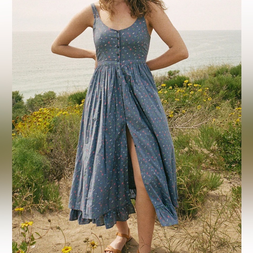 EUC Organic Cotton Christy Dawn Nicks Dress in Lapis Aster Garden